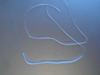 An image of a piece of Oral B Super floss on a grey background. An image of a piece of Oral B Super floss on a grey background.