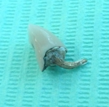 A post crown with a bent post on a green background